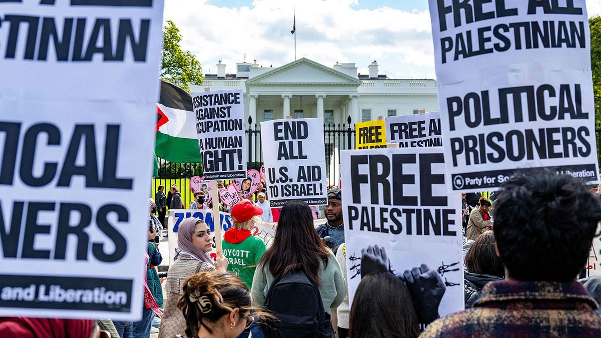 Pro-Palestine rally outside of White House