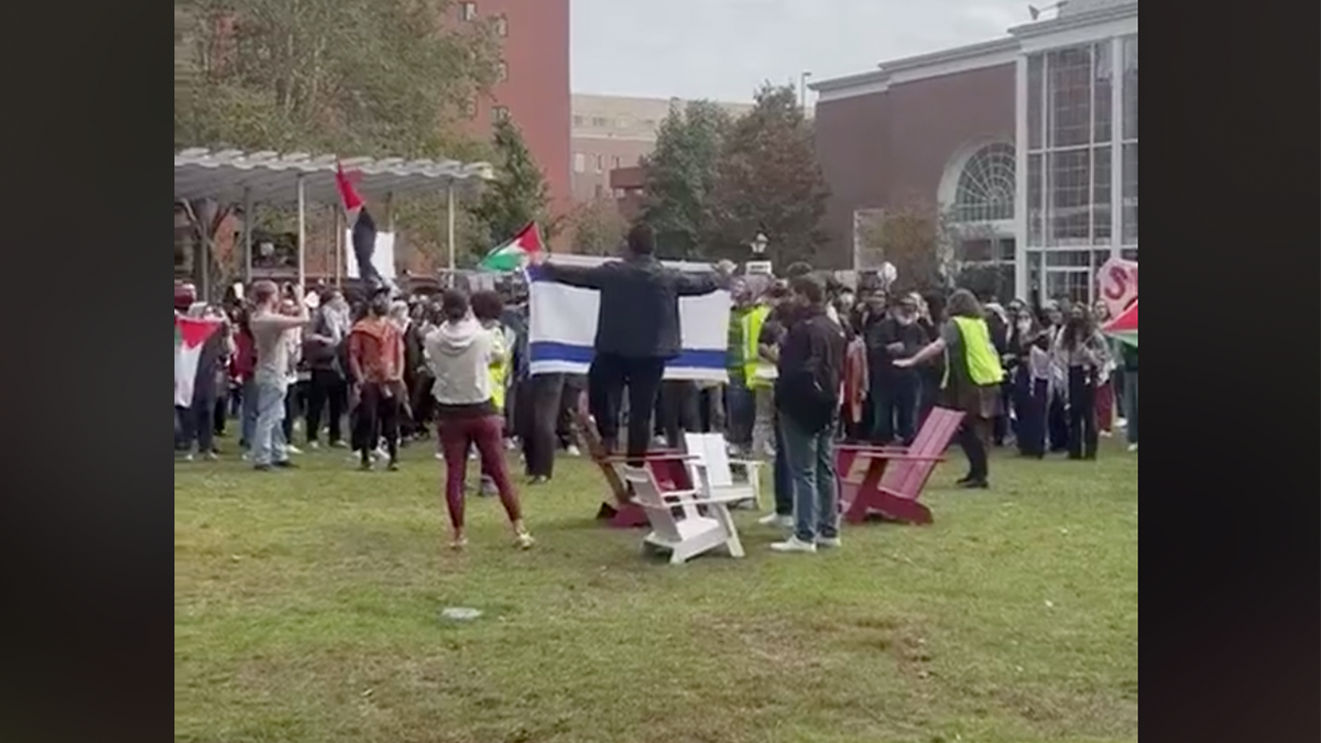 Pro-Palestinian rally at Harvard