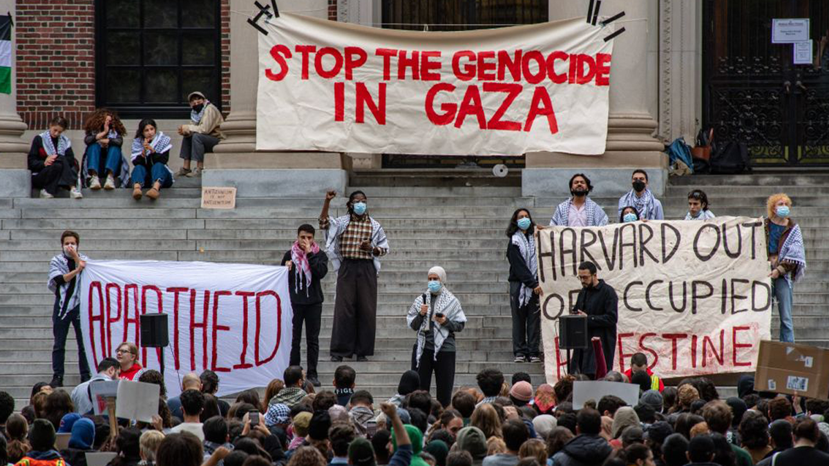 Eclsuvie Education Fox News   Pro Palestinian Rally At Harvard 