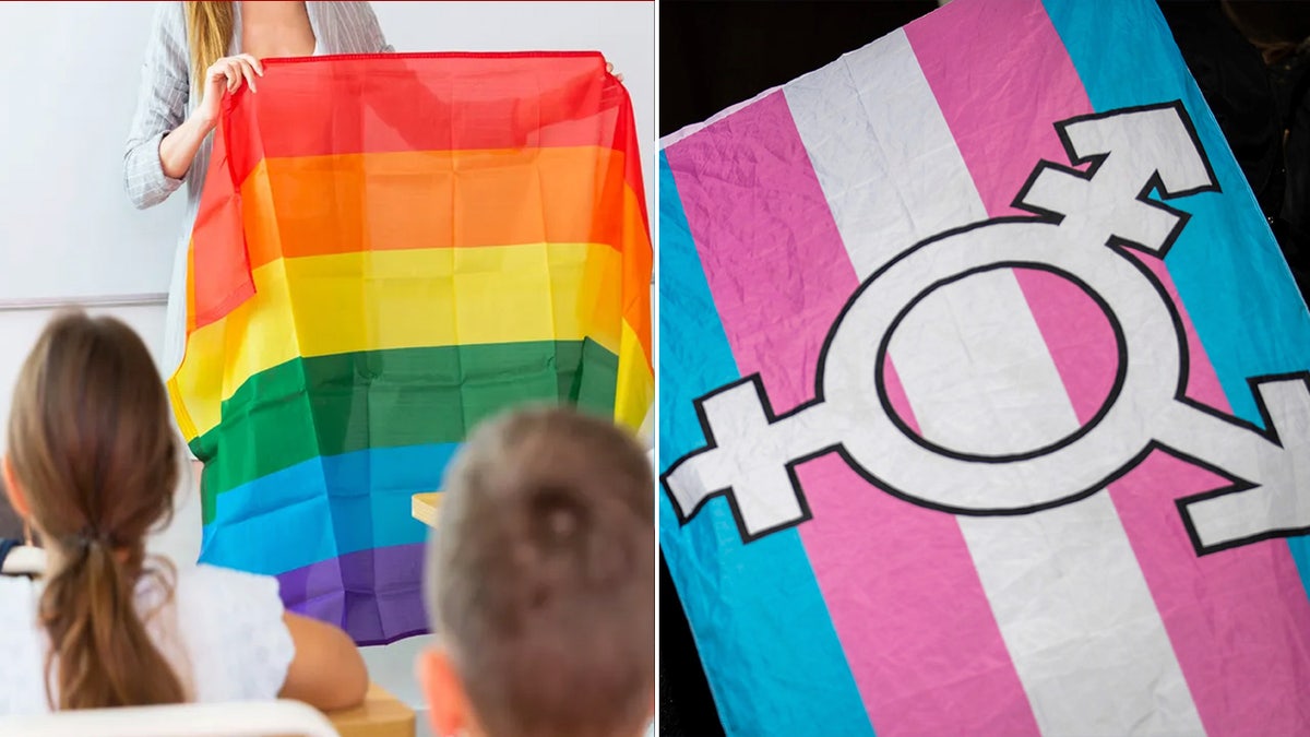 Rainbow and transgender flags
