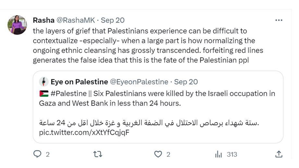 Rasha Mubarak's message says Israel is committing "ethnic cleansing" against Palestinians.