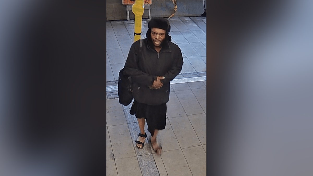 Seattle hammer attack suspect