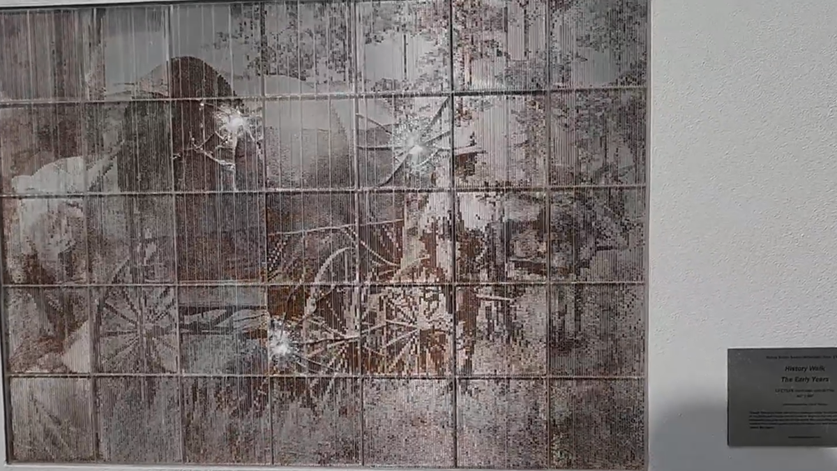 Tampa, Florida park's artwork is damaged