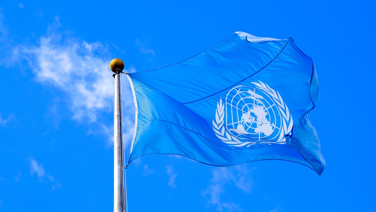 UN flag flying