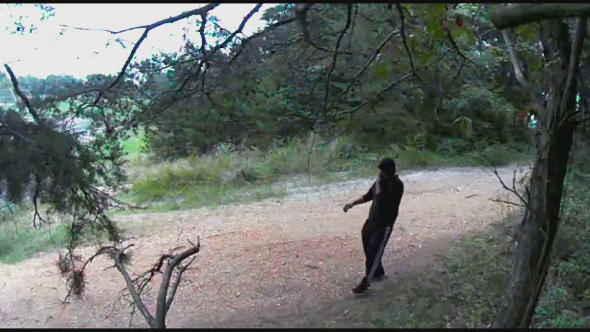 suspect walking in wooded area