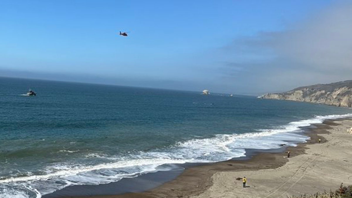 Search for swimmer missing in California following reported shark attack