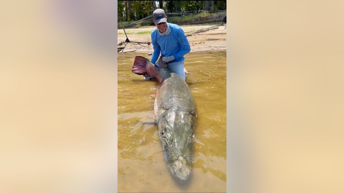 Alligator gar caught in Texas weighing 283 pounds shatters multiple records: 'Four in one fell swoop' - Fox News