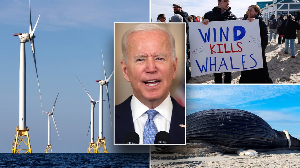 Biden and wind projects