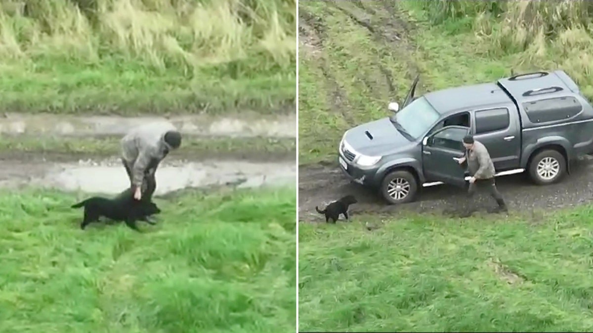 blind dog reunited with owner