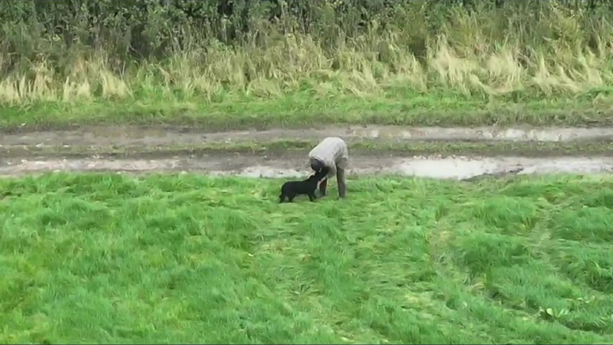 The heart-warming moment a blind dog who had been missing for three days was reunited with their owner - after she was found with a drone