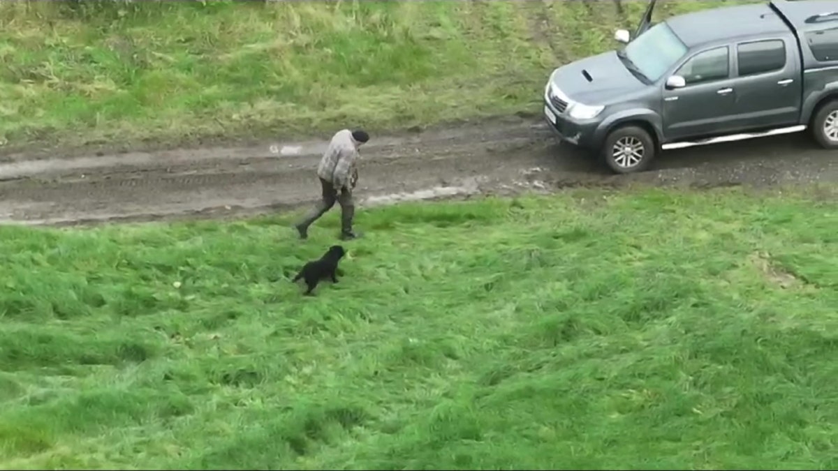 The heart-warming moment a blind dog who had been missing for three days was reunited with their owner - after she was found with a drone