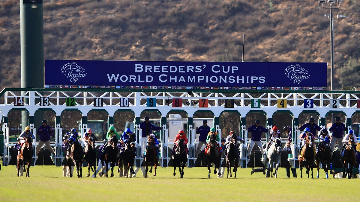 Breeders Cup starting gate