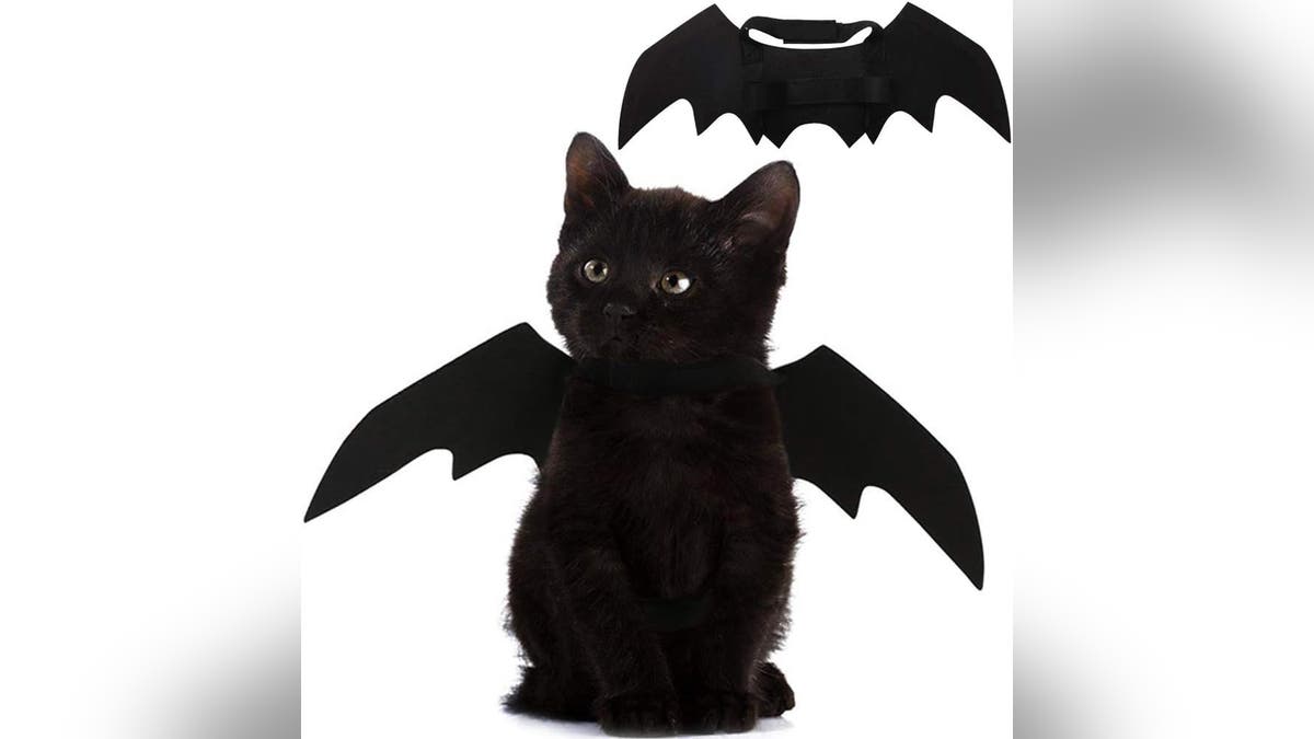 Pet Cat Bat Wings for Halloween