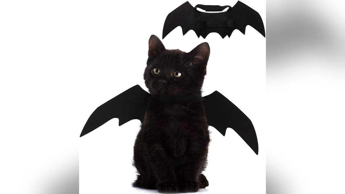 Alas de Murciélago para Gato Mascota en Halloween