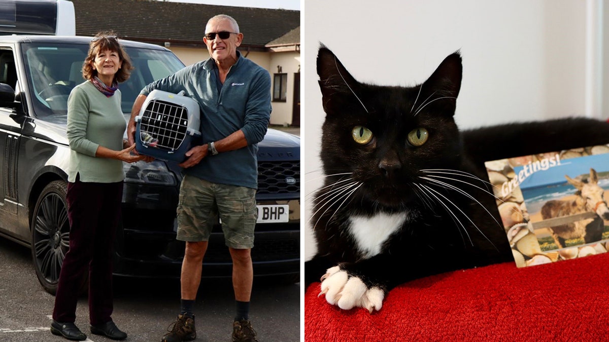 Stowaway cat and family