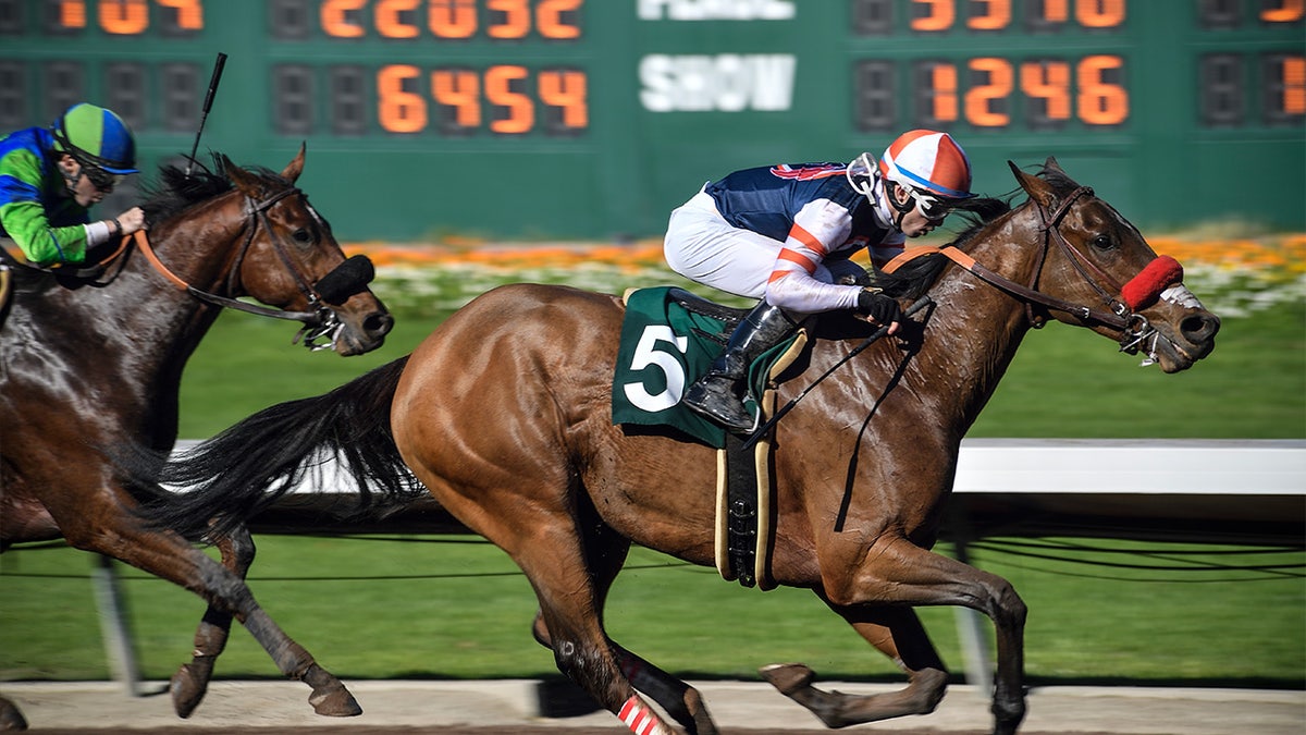 California exercise horse rider dies in training incident at Los Alamitos Race 1 Thoroughbred race
