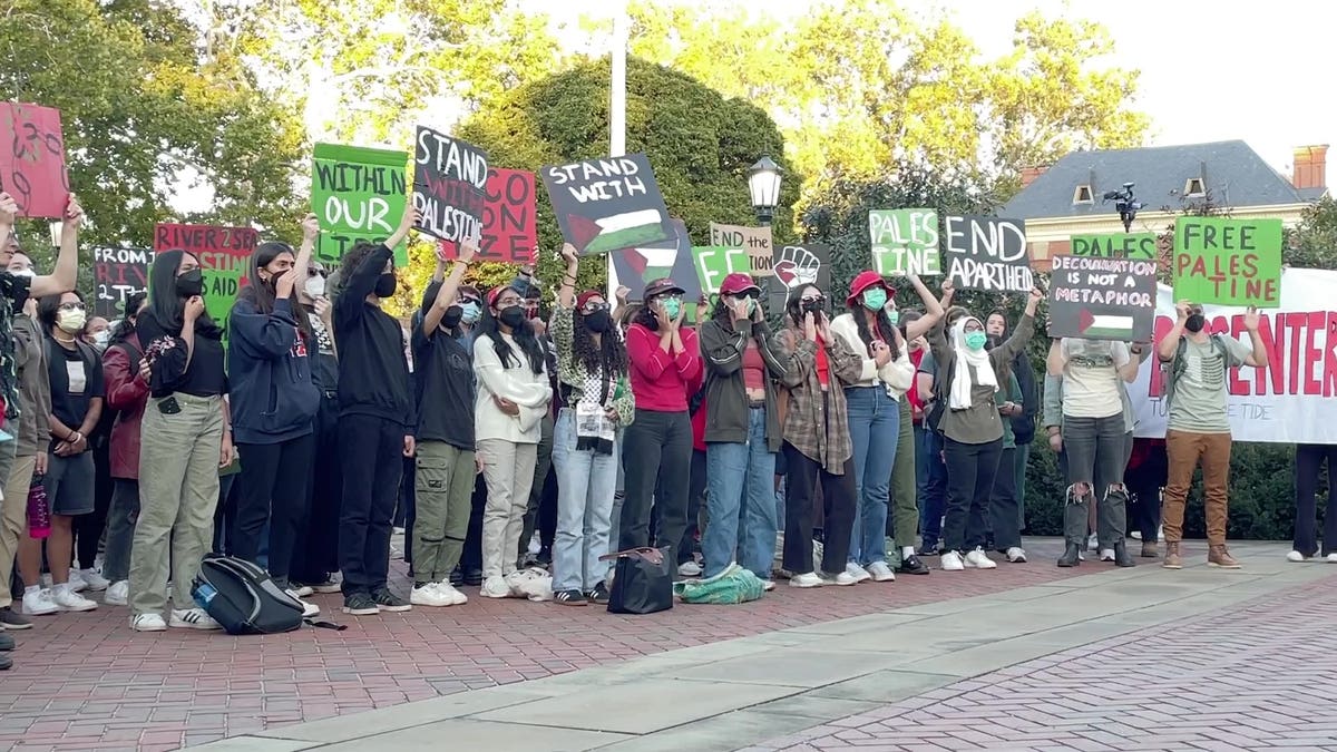 Masked rally attendees holding up signs calling for the liberation of Palestine