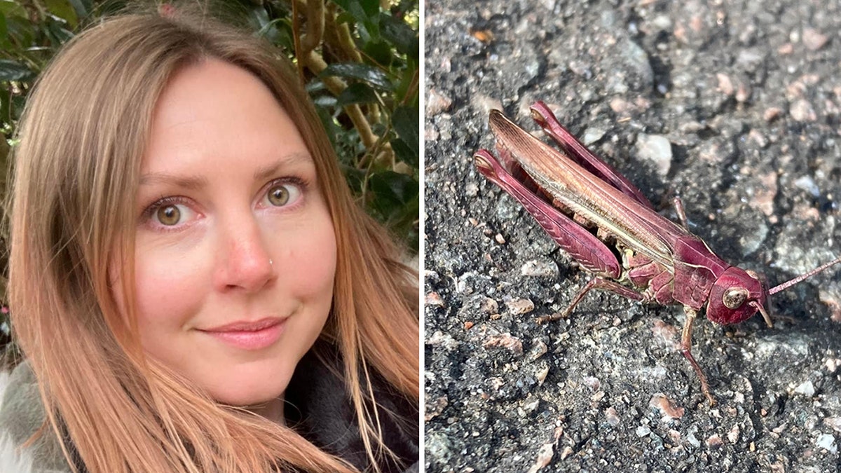 Woman and grasshopper