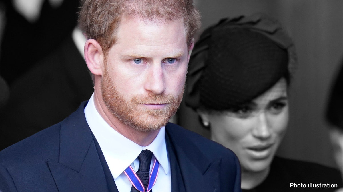 prince harry meghan markle