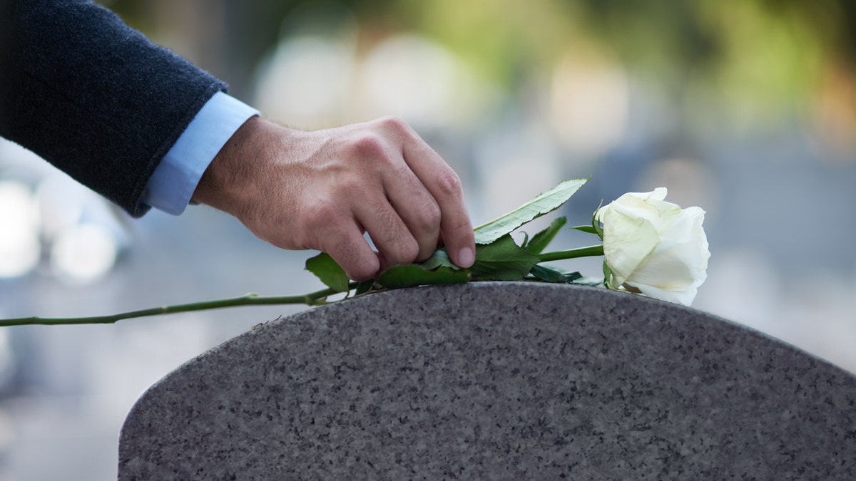 white rose on tombstone