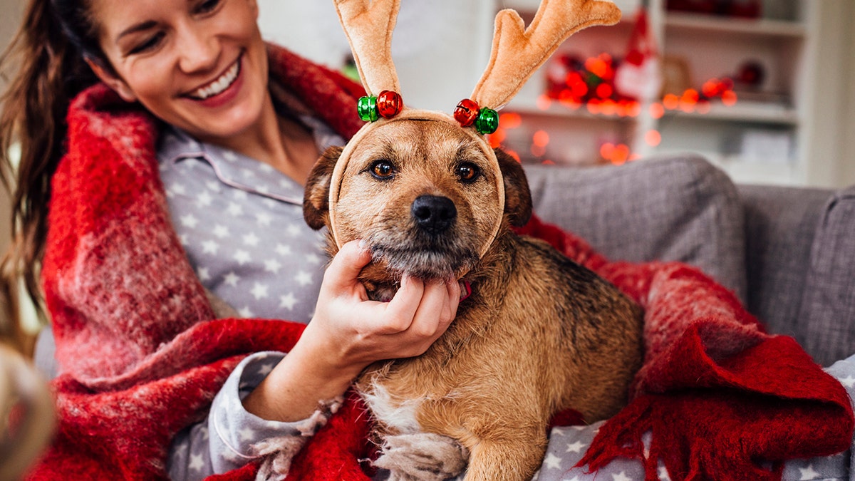 dog wearing dear antlers with woman sitting behind