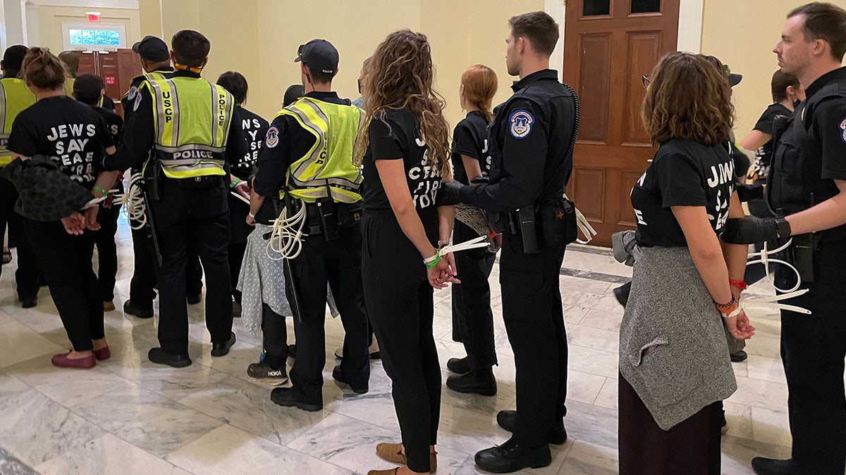 Protesters in black shirts with hands cuffed behind their backs