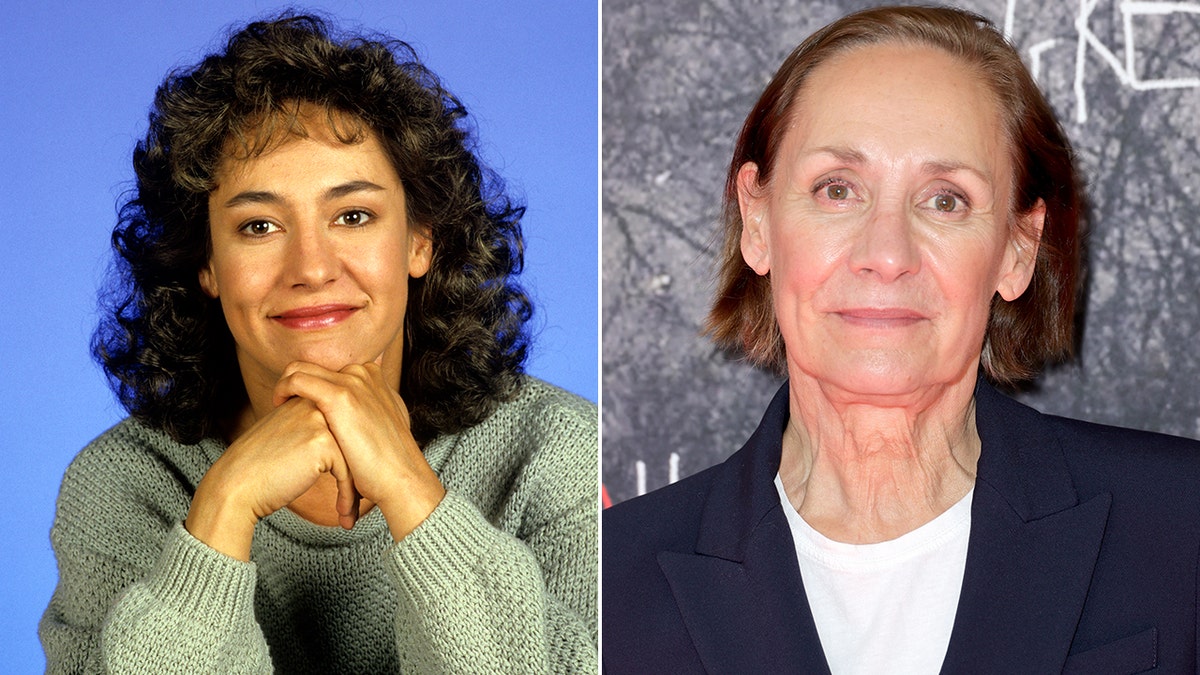 Laurie Metcalf then and now split