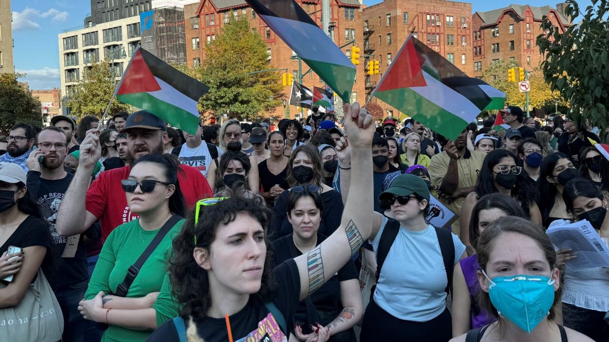 Protestors carrying Palestinian flags