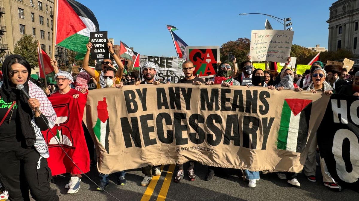 Anti-Israel protestors carrying flags