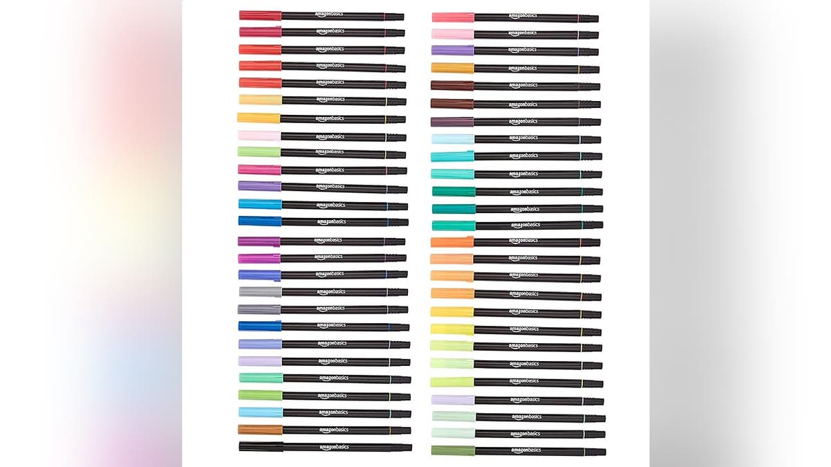 Amazon Basics Dual Tip Brush Pens