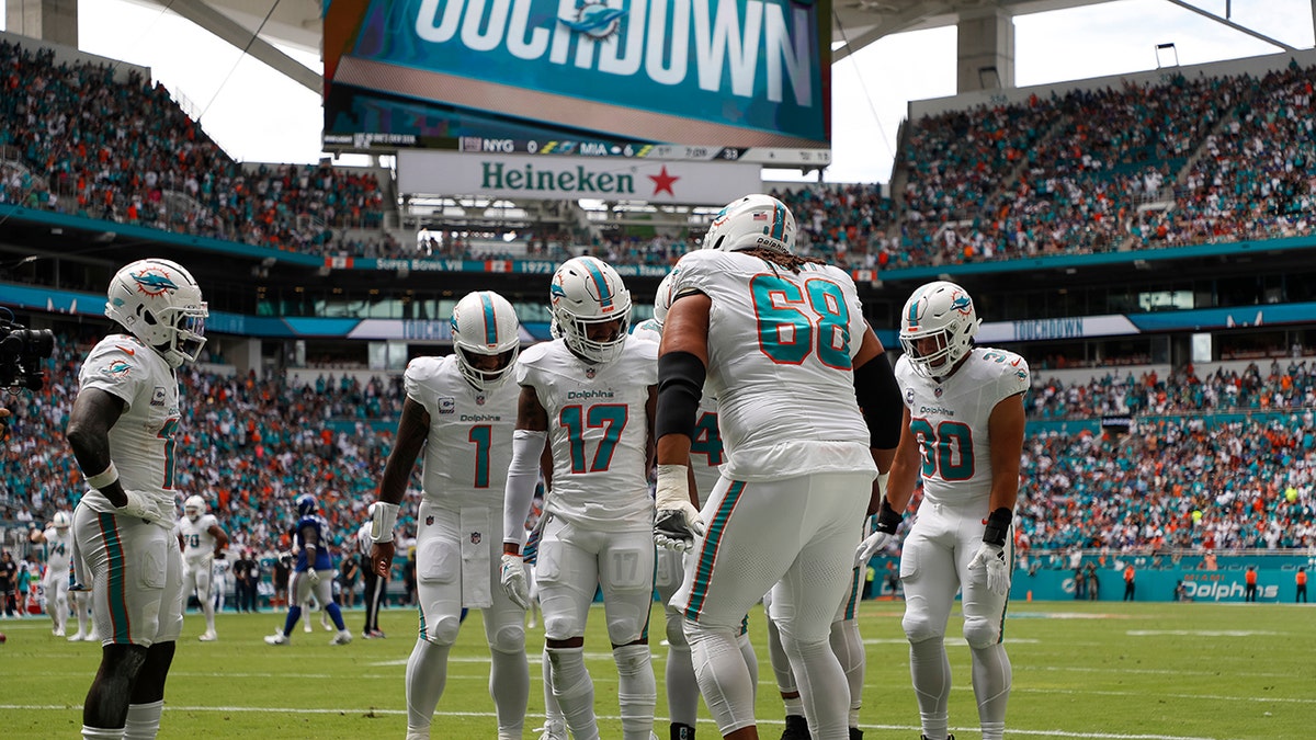Dolphins celebrate a touchdown