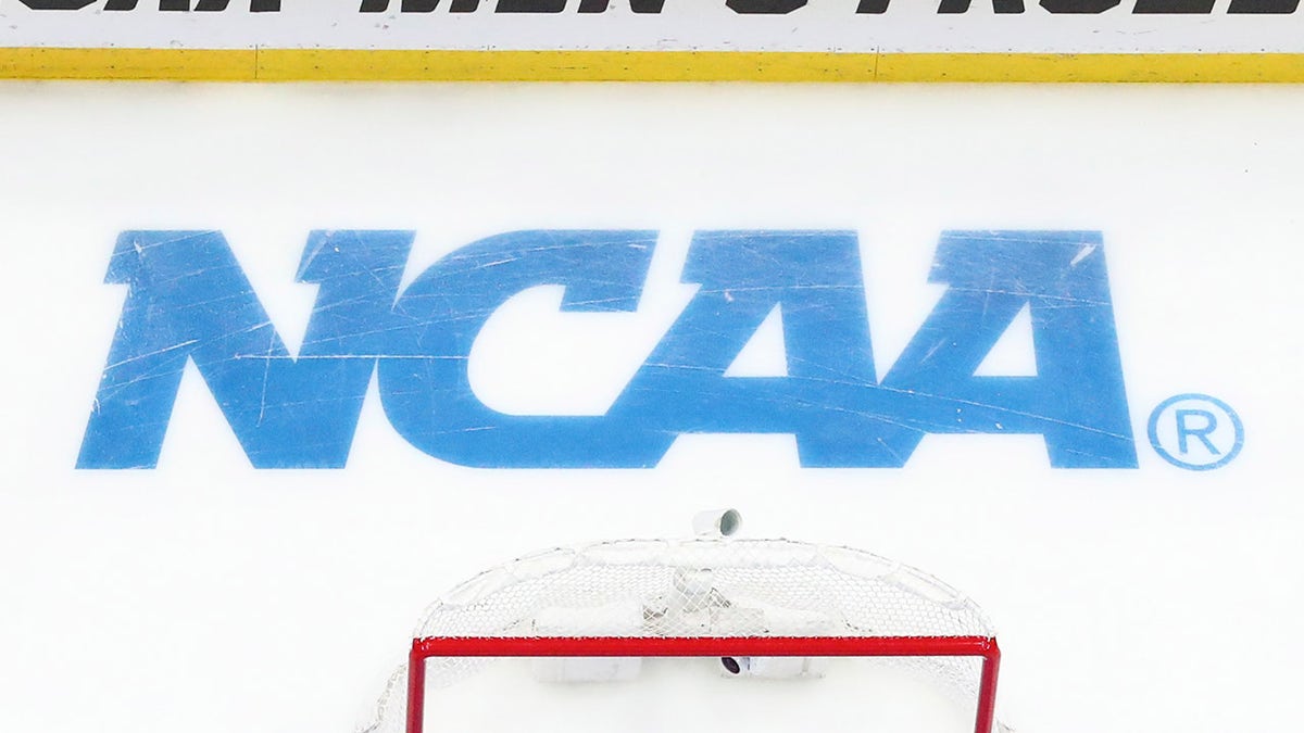 Johnny Druskinis removed from Michigan hockey for rules violation