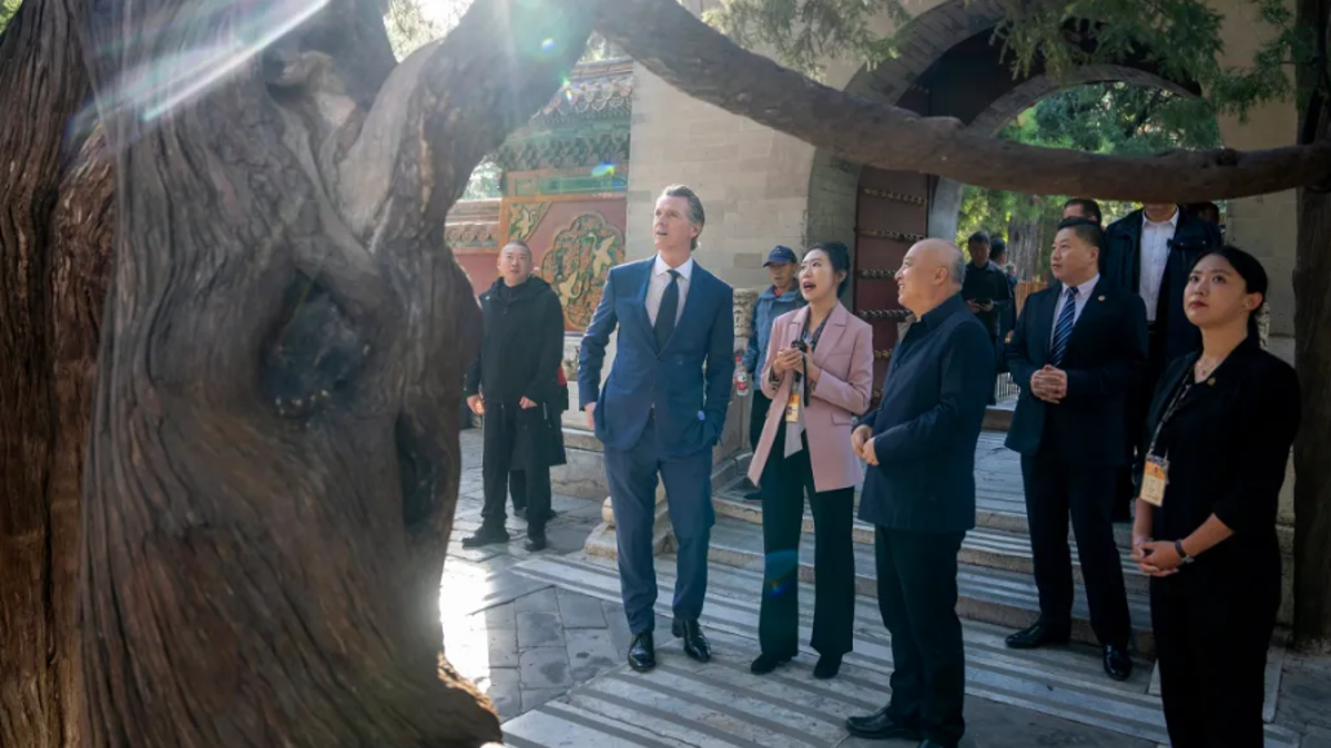 Newsom looks at tree during China trip