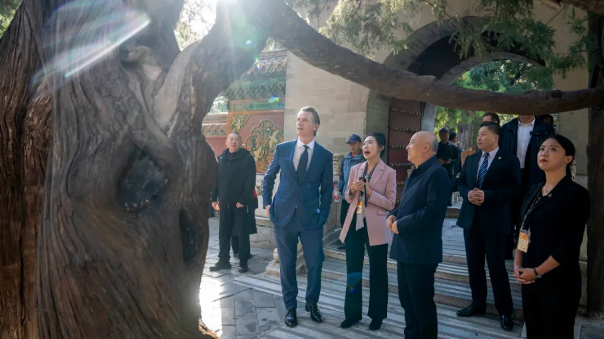 Newsom looks at tree during China trip