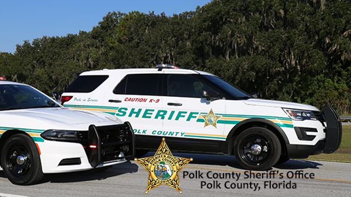 Picture of Polk County police cruisers