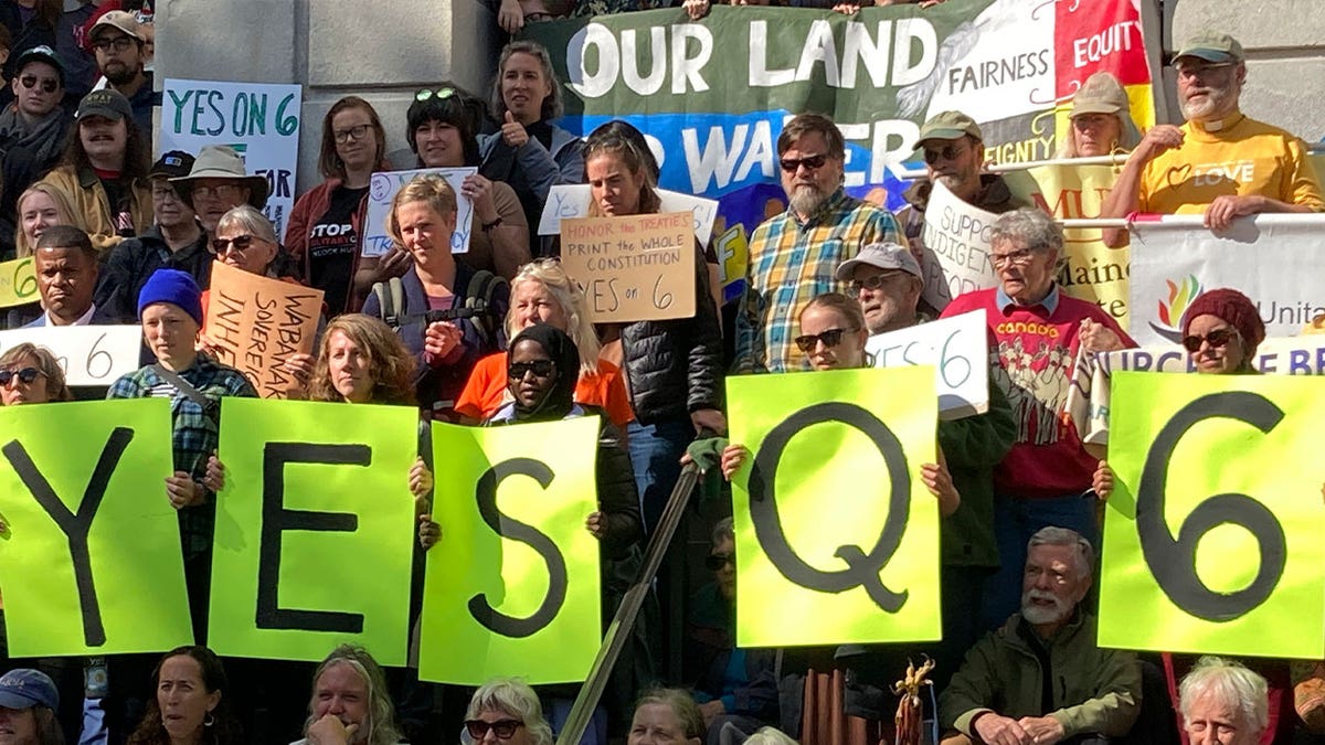 demonstrators hold signs