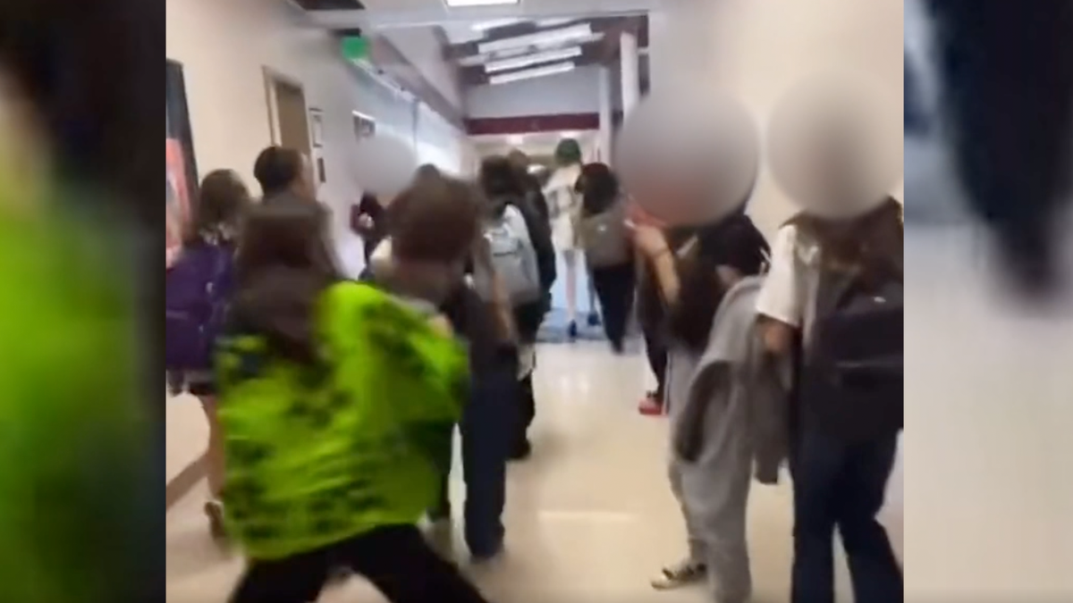 Middle school fight
