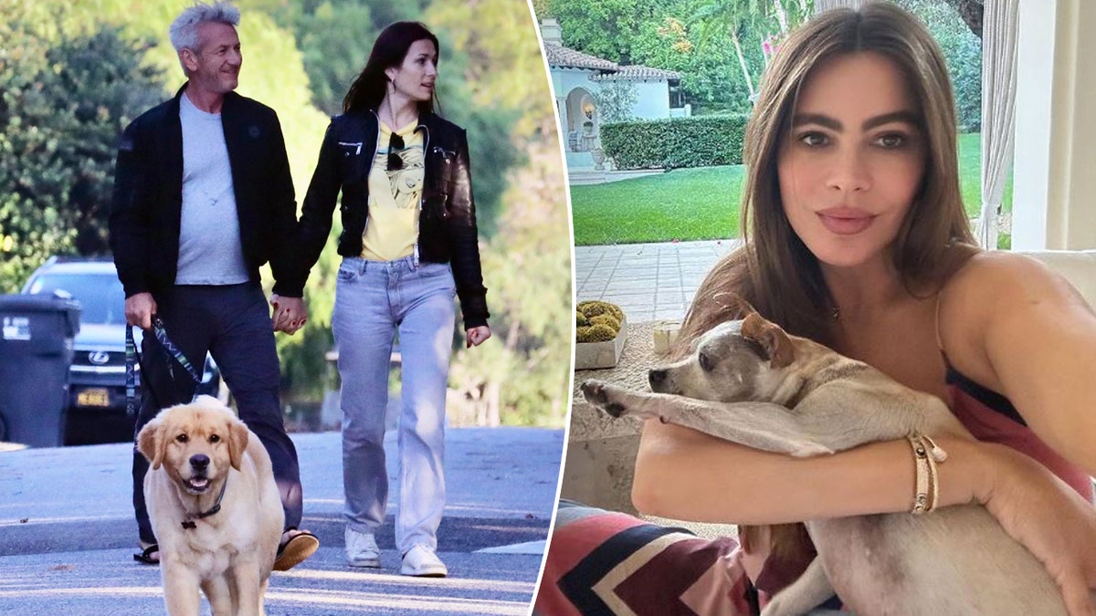 Sean Penn holds hands with new love on dog walk; Sofia Vergara