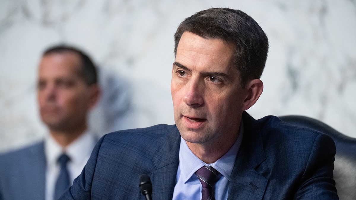 Tom Cotton calls for Justice Dept. probe of news photographers 'embedded  with Hamas' - Washington Times