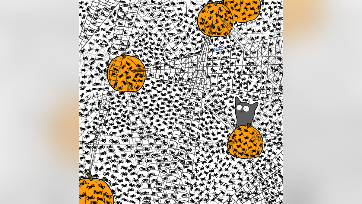 Seven spiders hidden in a web covered in spiders with several pumpkins in the webs