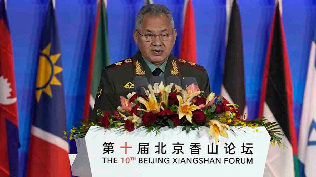 Russian Defense Minister Sergei Shoigu