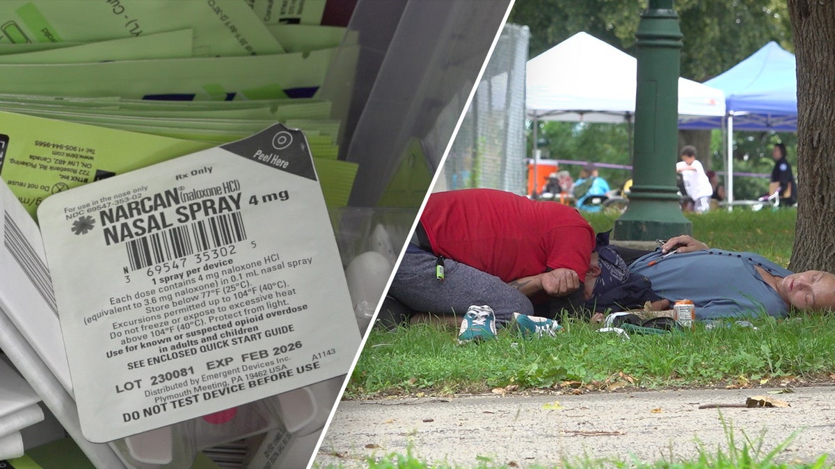 Kensington drug users pass out in the grass