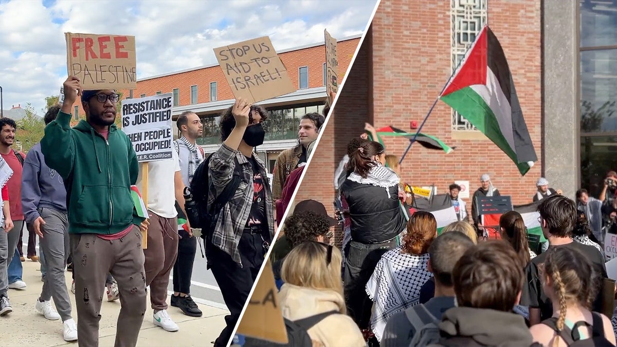 College student protest on Israel-Hamas war