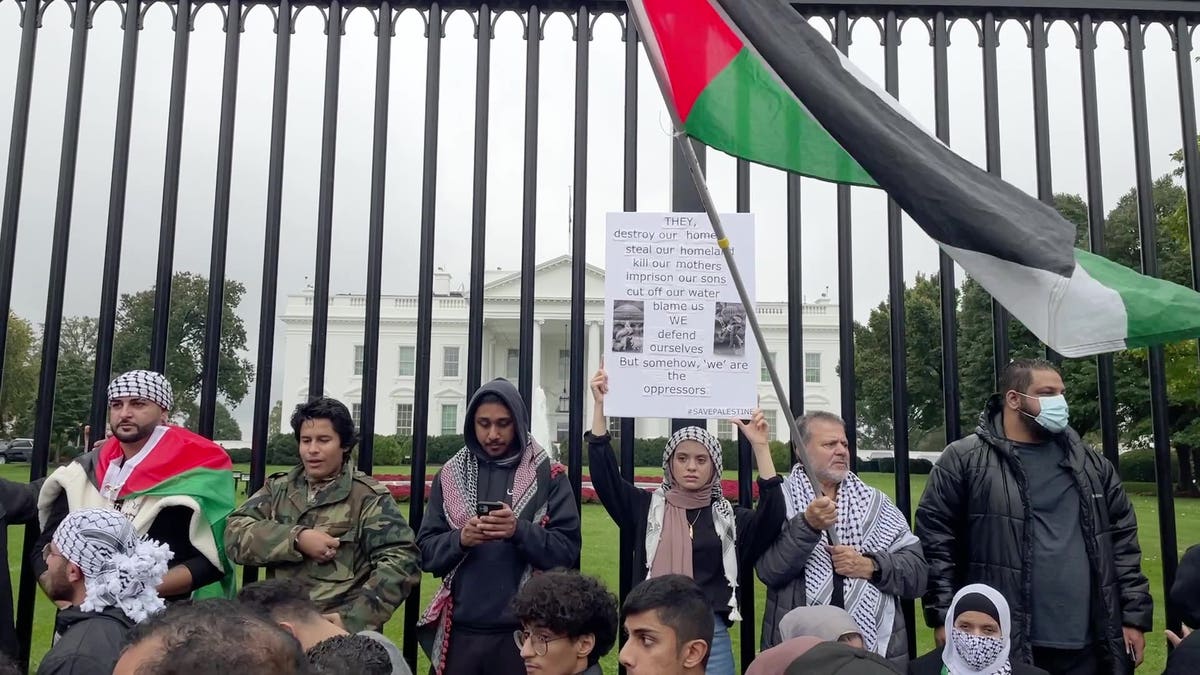 Protesters stand in front of the White House fence holding signs and waving Palestinian flags