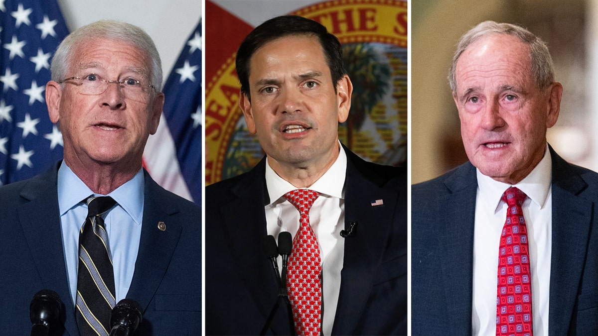 Wicker, Rubio and Risch split image