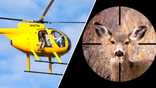 Mule deer in crosshairs with helicopter