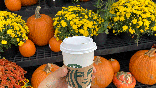 Starbucks pumpkin spice drink