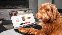 Amazon Prime Big Deal Days offers discounts on pet essentials this October