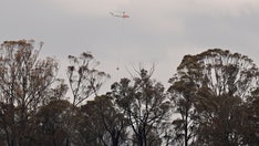 Forest fire devastates 3 residences in southeastern Australia, injuring man struck by falling tree