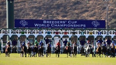 Horse dies just days before he was scheduled to race at Breeders' Cup; Belmont Stakes winner scratched